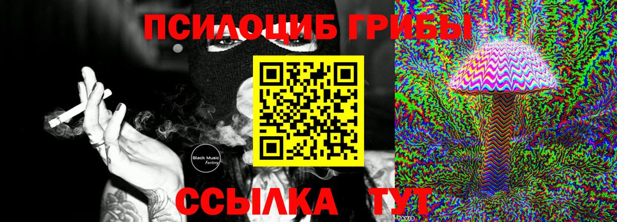 Орехово-Зуево  Псилоцибиновые грибы GOLDEN TEACHER  Вход с VPN 