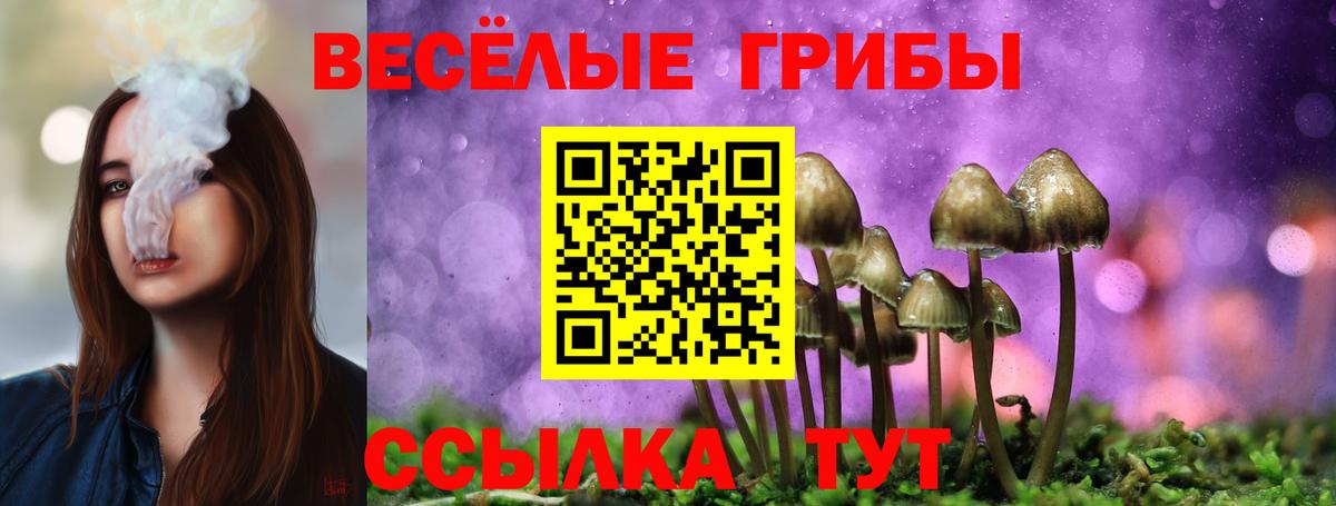 Галлюциногенные грибы MAGIC MUSHROOMS Орехово-Зуево